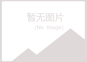 玛沁县字迹采矿有限公司